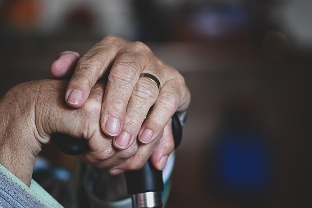 Respite Care: Empowering Seniors, Supporting Families with Companion Services