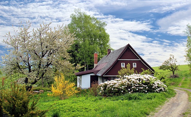 home-care-640x480-4773025.jpeg