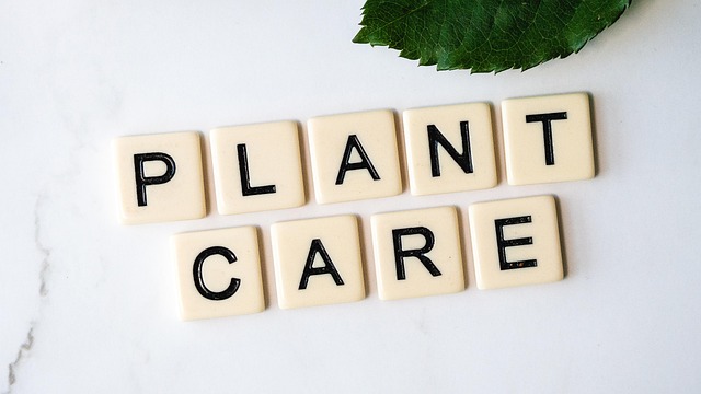 home-care-640x480-12706383.jpeg