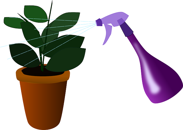 home-care-640x480-38949466.png