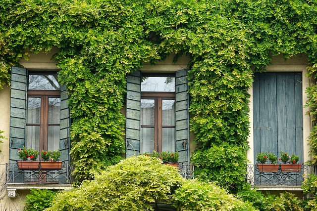 Experience More Freedom: Top Homemaking Care in Laguna Vista, Texas – Book Your Free Consultation Today!