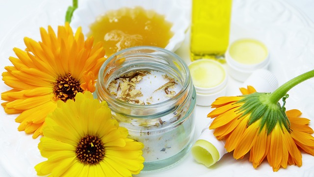 Experience Peace of Mind: Top-Rated Homemaking Services in Falcon Heights, Texas