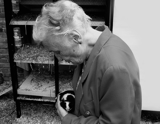home-care-640x480-82294757.jpeg